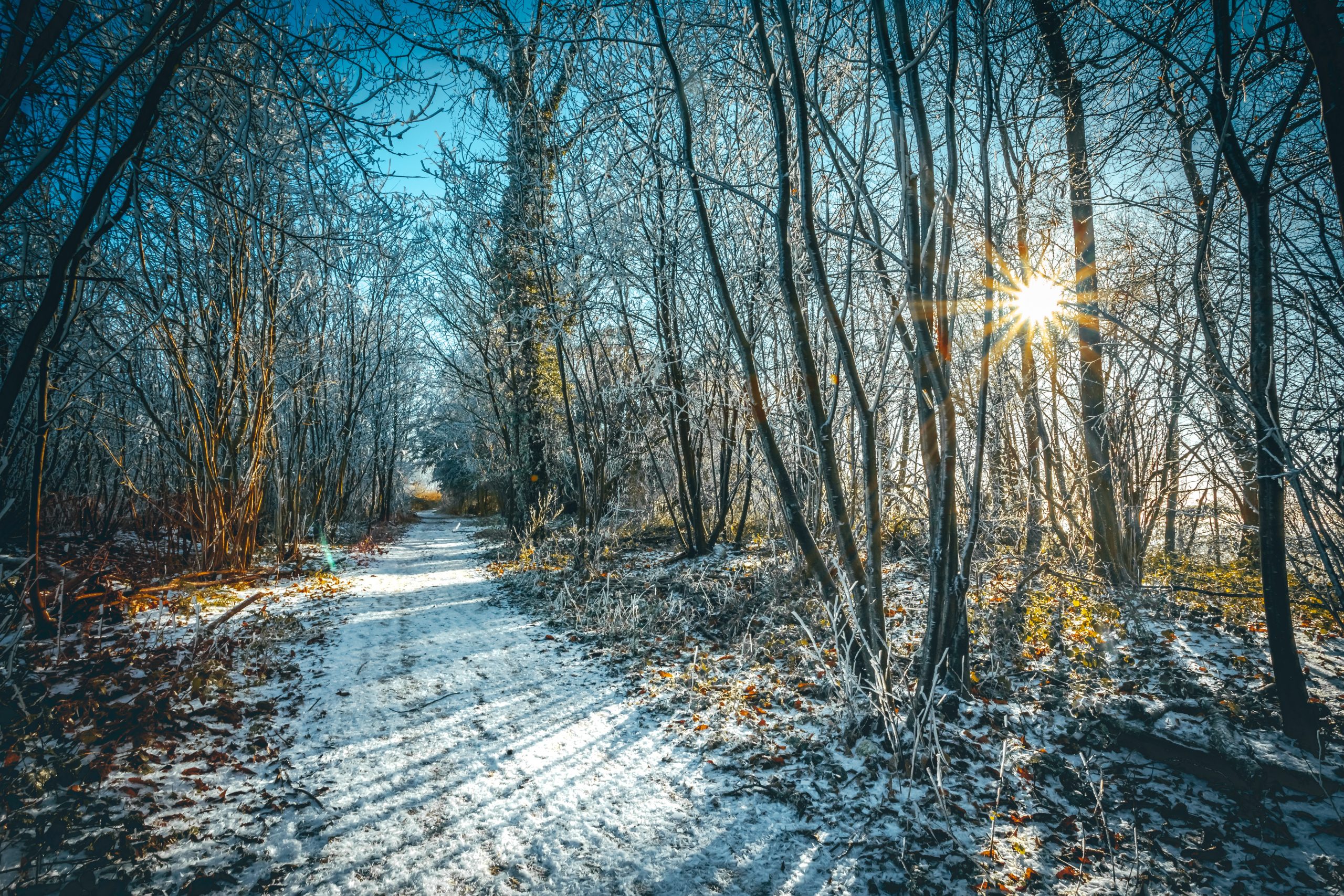 Do you need Winter Photography for your development?