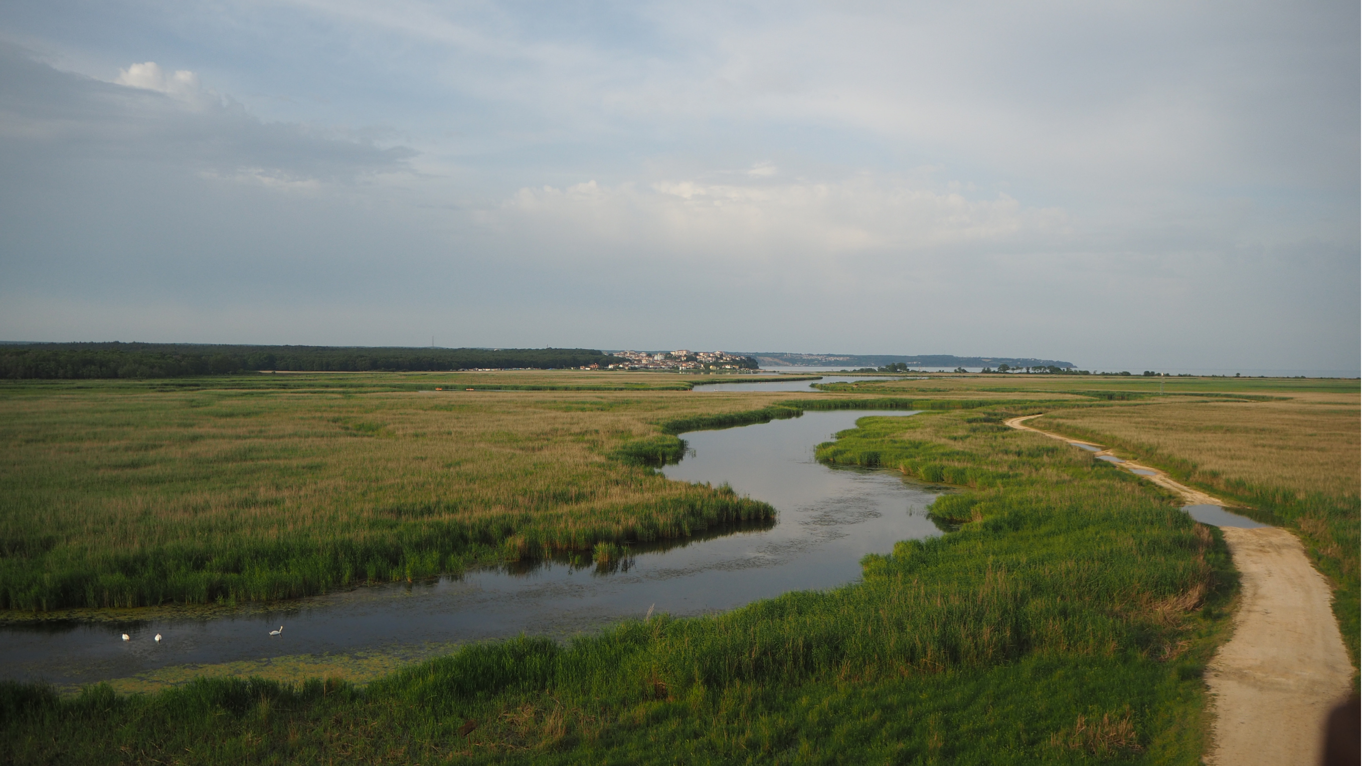 Introducing Green and Blue infrastructure at Tyler Grange